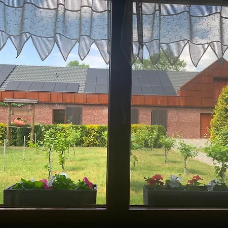 Gospodarstwo agroturystyczne Winnica De Sas *