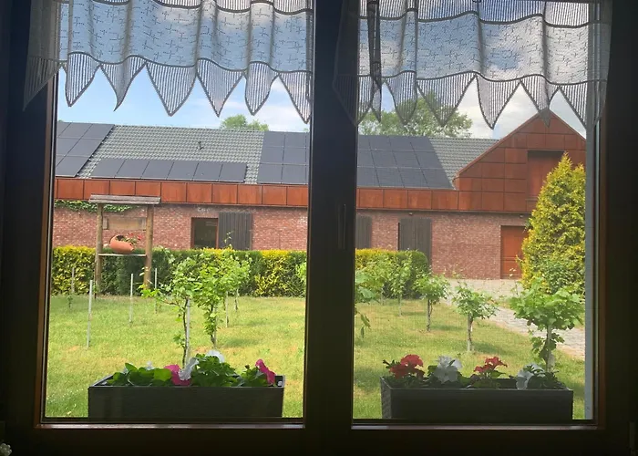 팜스테이 Winnica De Sas *